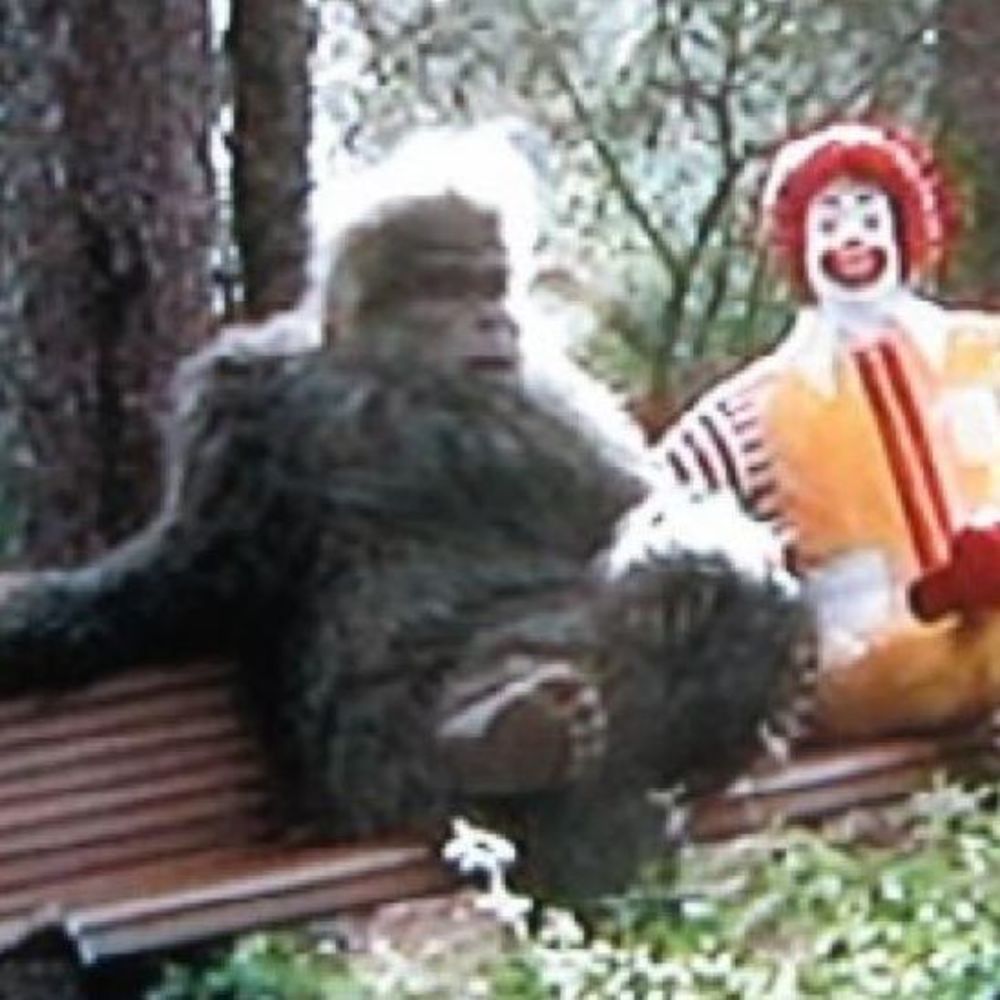 Meet your Posher, Robert